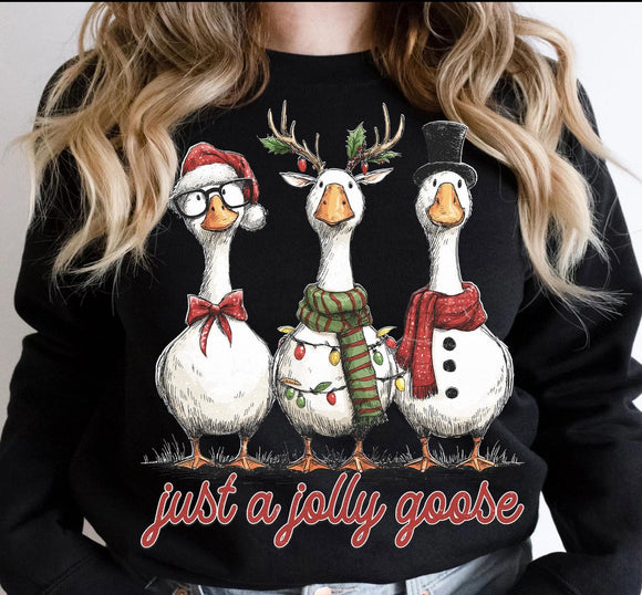 WS Christmas 2025 Silly Christmas Goose Graphic Sweatshirt