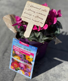 Mother's Day Plant Stake and Seed Pack