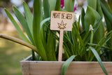 Wholesale | 1 pc | Plant Markers Wood or Acrylic
