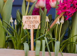 Wholesale | 1 pc | Plant Markers Wood or Acrylic